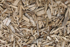 biomass boilers Pilhough